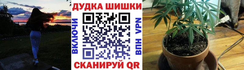Продажа наркотиков Усть-Илимск Бошки Шишки  Псилоцибиновые грибы  Меф  Alpha-PVP 