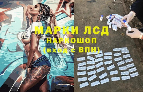 шишки Балахна