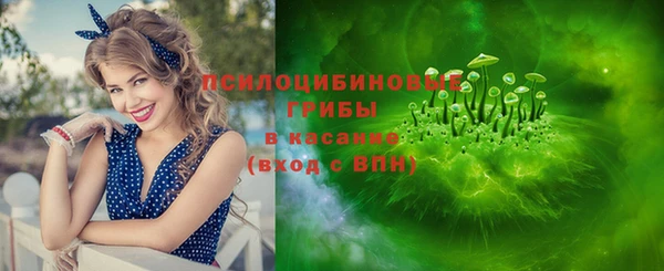 шишки Балахна